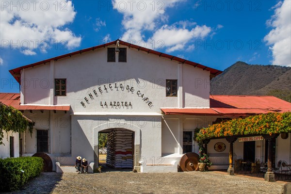 La Azotea coffee plantation in Jocatenago