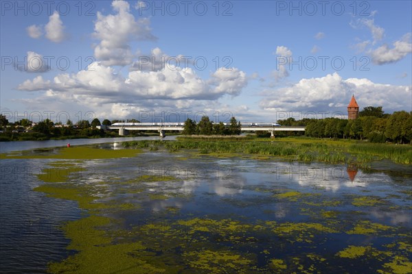 River Nogat