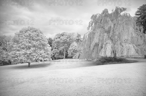 Infrared image