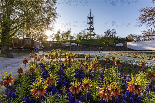 Hoehenpark Killesberg with the Killesberg tower