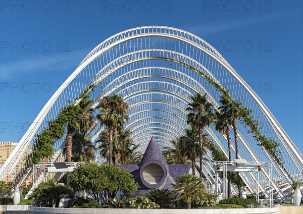 The Umbracle