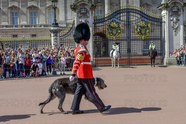 Queen's Guards