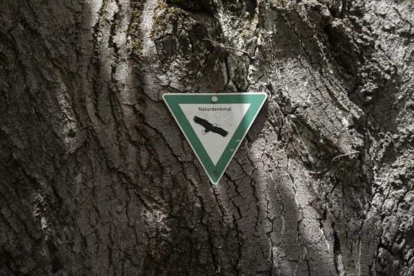 Sign natural monument on a tree