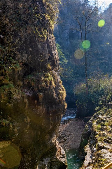 Autumn in Guam gorge