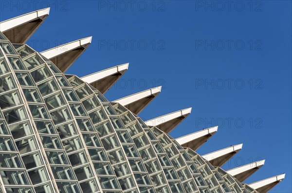 Museu de les Ciencies