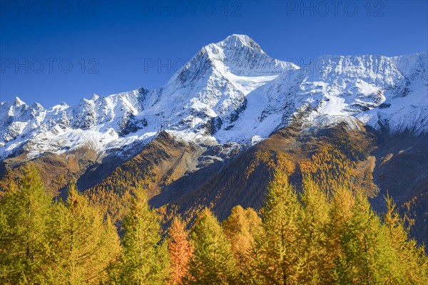 Freshly snow-covered Bietschhorn