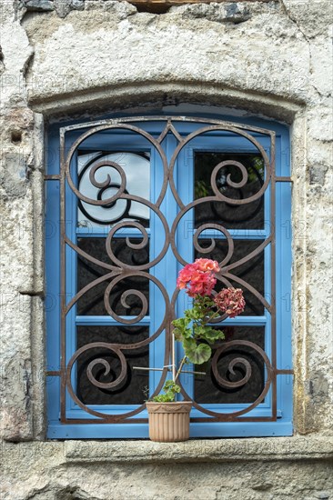 Flower at the edge of a window