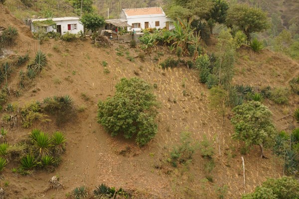 Harvested field on steep slope