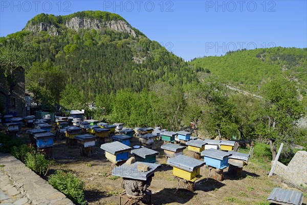 Beekeeping