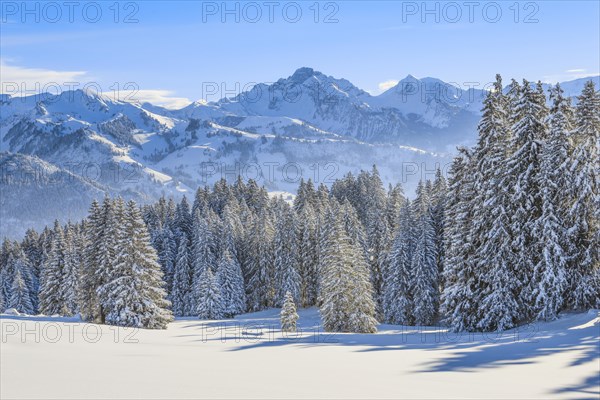 View from the Jaun Pass to the Bernese Alps