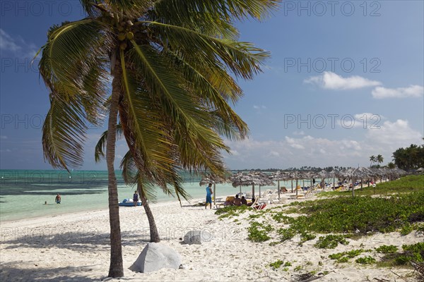 Sandy beach beach