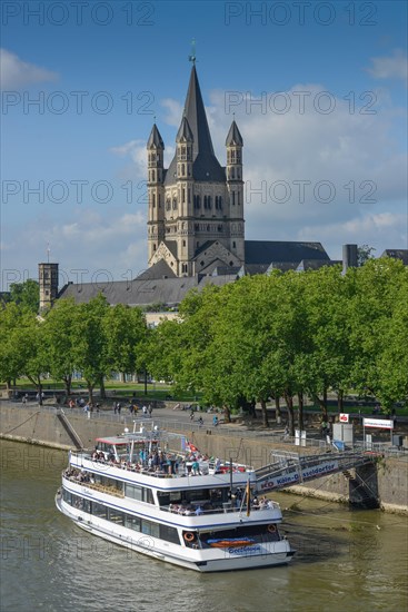 Rhine bank