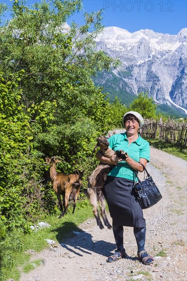 Shepherdess and her goats