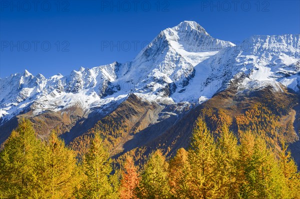 Freshly snow-covered Bietschhorn