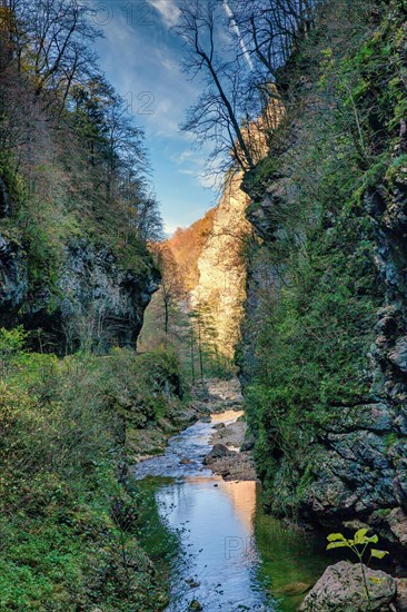 Autumn in Guam gorge