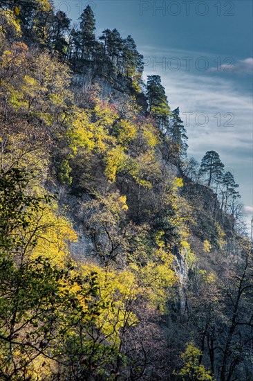 Autumn in Guam gorge