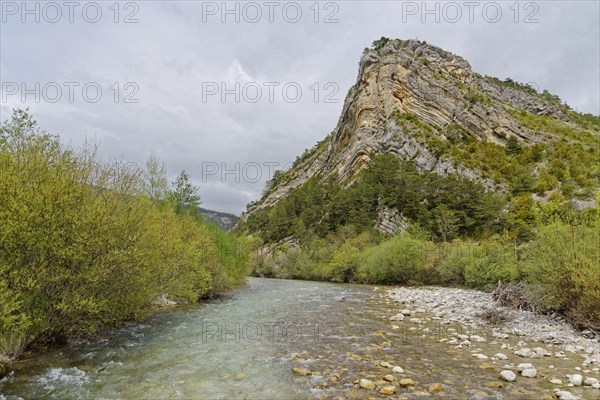 Stream in Chartreuse nature Park