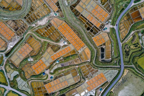 Aerial view of the salt marshes