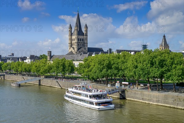 Rhine bank