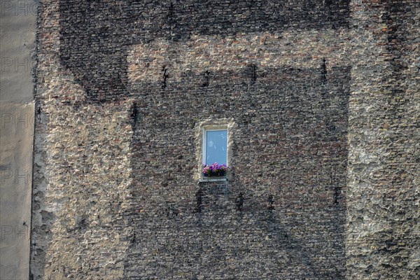 Brandmauer Windows