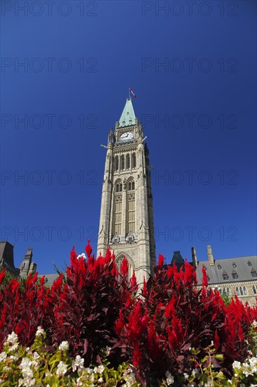 The Peace Tower