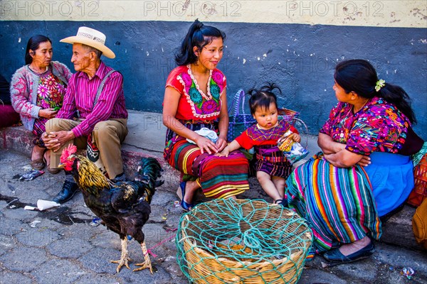 Poultry market