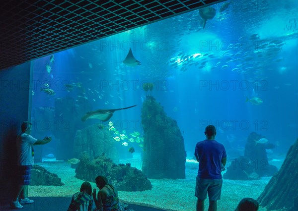 Oceanario de Lisboa