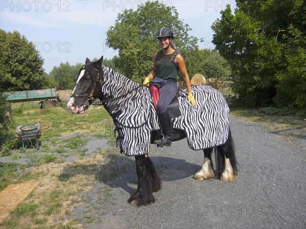 Rider on horseback