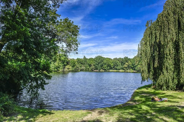 Carp Pond