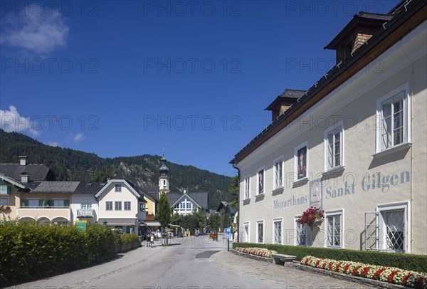 Mozarthaus