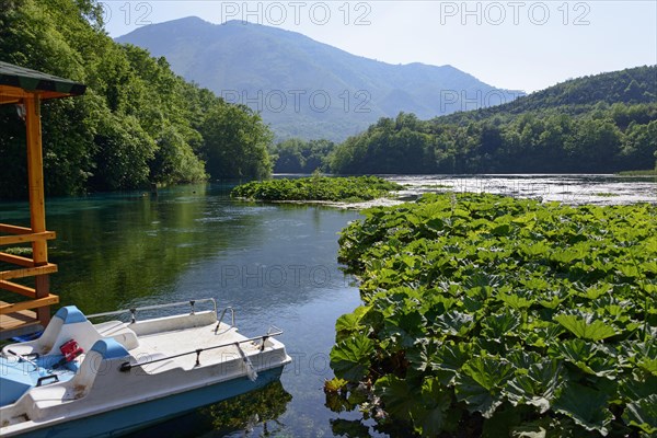 River Bistrica