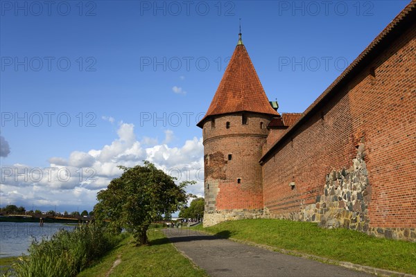 Malbork Castle