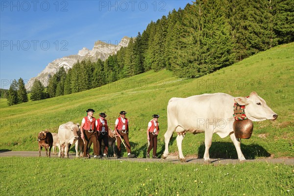 Alpine procession at Lutertannen in front of the Alpstein massif with Saentis in mountain spring