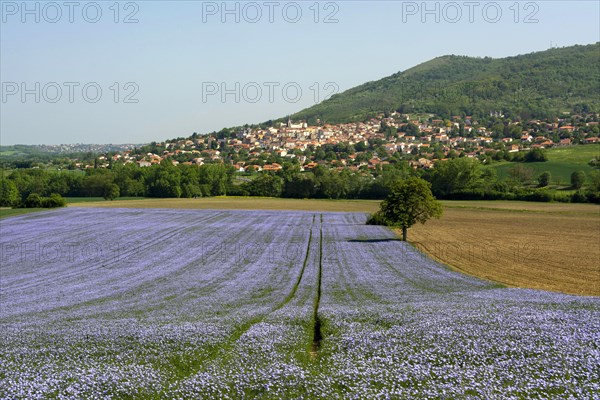 Mezel village