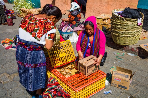 Poultry market