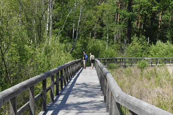 Wooden footbridge