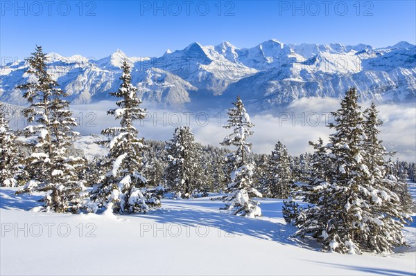 Winter view from the Niederhorn to the Schreckhorn and the triumvirate Eiger