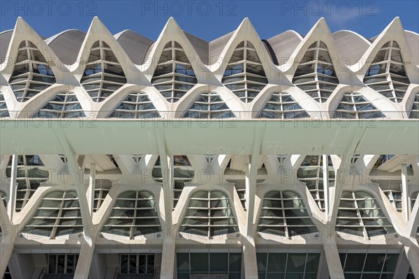 Museu de les Ciencies