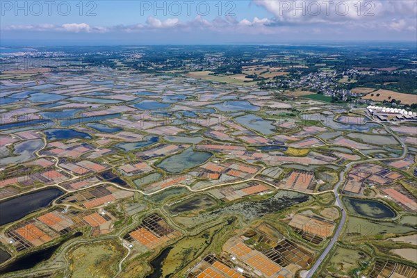 Aerial view of the salt marshes