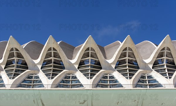 Museu de les Ciencies