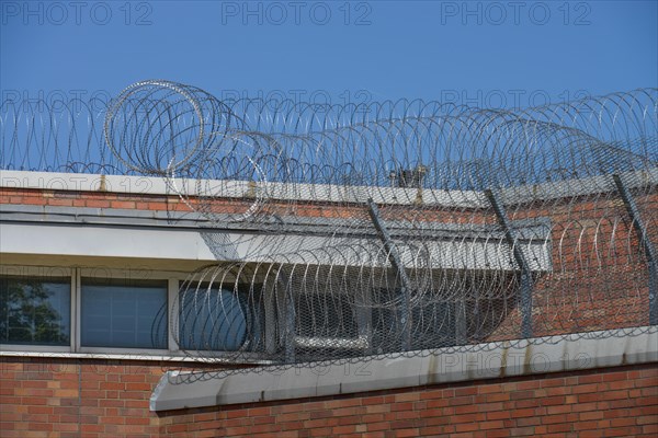 Barbed wire