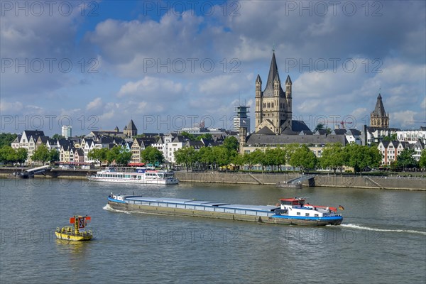 Rhine bank