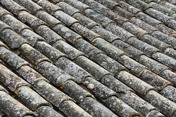 Roof tiles