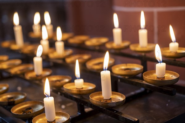 Candles in the Catholic junglefowl (Gallus) Church