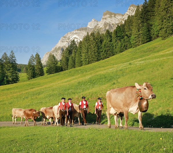 Alpine procession at Lutertannen in front of the Alpstein massif with Saentis in mountain spring