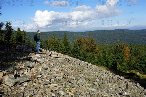 Celtic rampart