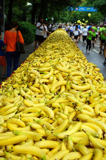 Frankfurt Corporate Run