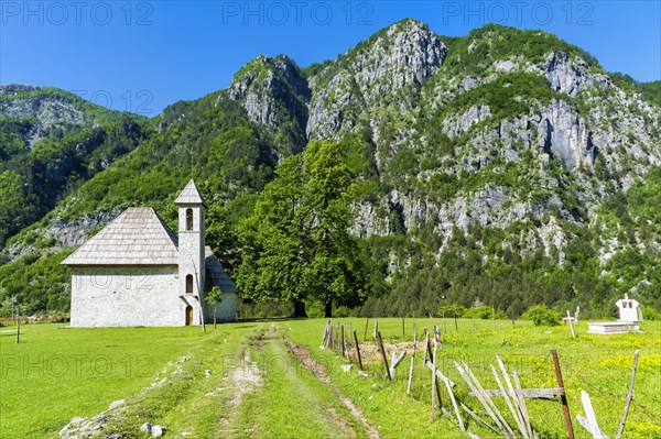 Catholic Church