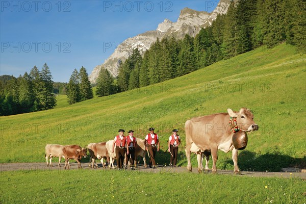 Alpine procession at Lutertannen in front of the Alpstein massif with Saentis in mountain spring