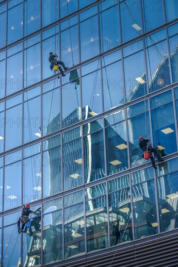 Window cleaner